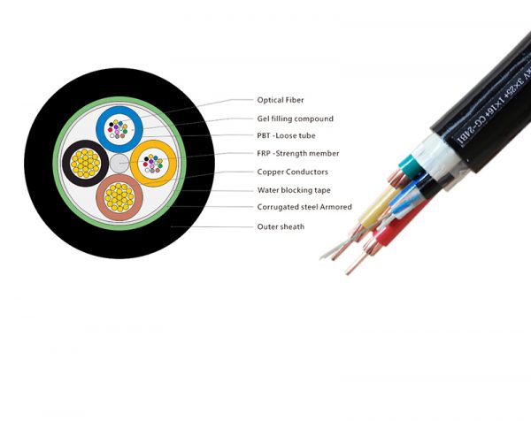 12 Core Optical Fiber (FRB)